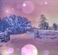 Photography - Snow Before The New Year - Digital Arts