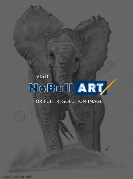 Animals - Elephant Calf - Graphite Pencil