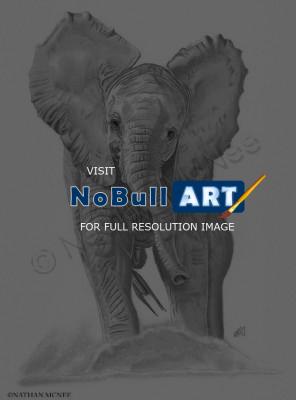 Animals - Elephant Calf - Graphite Pencil