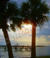 Hudson Beachfl - Photography Photography - By Wendy Lucas, Realistic Photography Artist