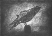 Crow - Silk Aquatint Etching Printmaking - By William Holt, Silk Aquatint Etching Printmaking Artist