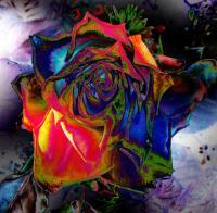 Dying Rose - Photography Digital - By Keith Bond, Psychedelic Digital Artist
