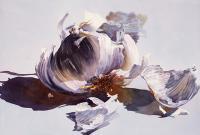 Garlic - Watercolor Paintings - By Soon  Y Warren, Realism Painting Artist