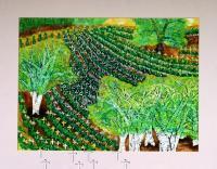 What Happened Here Before There Were Vineyards - Watercolors Paintings - By Thom Mahin, Impressionistic Painting Artist