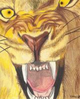 Angry Lion - Add New Artwork Medium Drawings - By Carl Parker, Realist Drawing Artist