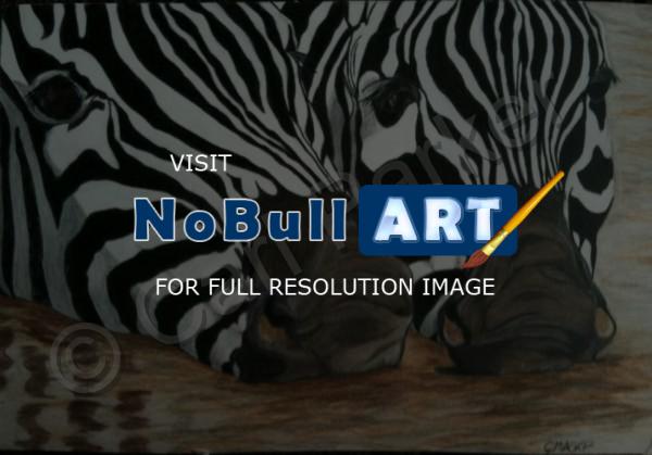 Wildlife - Zebra Noses - Colored Pencil