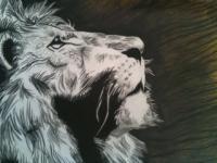 Thoughts Of A King Lion - Colored Pencil Drawings - By Carl Parker, Realist Drawing Artist