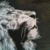 Thoughts Of A King Lion - Colored Pencil Drawings - By Carl Parker, Realist Drawing Artist