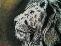 Lion - Colored Pencil Drawings - By Carl Parker, Realist Drawing Artist