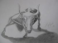 Bull - Graphite Drawings - By Ida Kecklund, Animal Drawing Artist