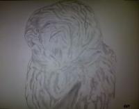 Owl Attempt 3Rd Species - Photographs And Pencils Drawings - By Gideon-Aaron Thompson, Pencil Copyist Drawing Artist