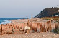 Private Beach - Digital Photography - By Carol Miller, Nature Photography Artist