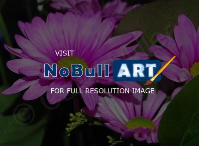 Floral - Echinacea - Digital