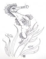 Seahorse - August - Pen And Ink Drawings - By Jesse Renfrew, Pen And Ink Drawing Drawing Artist