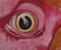 Chicken Eye - Acrylic Paintings - By Matthew J Rice, Acrylic  Pastels Painting Artist