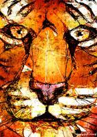 Scribberler Tiger - Digital Mixed Drawings - By Patricia Anne Mccarty, Nature Drawing Artist
