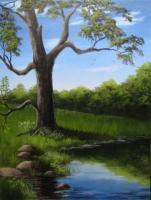 Untitled - Oil Paintings - By Jay Moncrief, Landscape Painting Artist