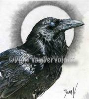 Raven  Moon - Graphite  Charcoal Drawings - By Dian Vandervolgen, Realism Drawing Artist