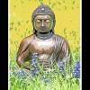 Buddha In The Garden - Digital Digital - By Diane Ward, Digital Meditation Digital Artist