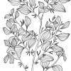 Mistletoe Tree - Exocarpus Latifolius - Pen And Ink Drawings - By William Ivinson, Black And White Line Art Drawing Artist