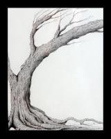 Direction - Pen  Ink Drawings - By Jeffrey Locke-Lemert, Surealistic Drawing Artist
