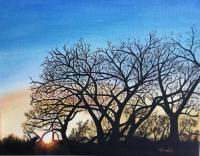 Bosque Winter Sunset - Oil Paint Paintings - By Brian Hoden, Landscape Painting Artist