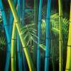 Bambooscape - Acrylic On Canvas Paintings - By Jimmy Mathew, Creative Painting Artist