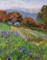 Larkspur Pajaro Valley - Pastel Paintings - By Lisa Couper, Impressionism Painting Artist
