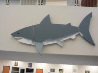 Great White Shark - Papier Mache Sculptures - By Divitto Kelly, Papier Mache Sculpture Artist