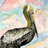 Pelican 2 - Watercolor Paintings - By Derek Mccrea, Realism Painting Artist