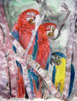3 Parrots - Watercolor Paintings - By Derek Mccrea, Realism Painting Artist