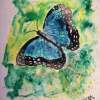 Blue Butterfly - Watercolor Paintings - By Derek Mccrea, Impressionism Painting Artist