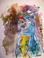 Macaw Parrot - Water Color Paintings - By Derek Mccrea, Impressionism Painting Artist