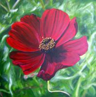 Chocolate Cosmos - Acrlic Paintings - By Lyndsey Hatchwell, Realism Painting Artist