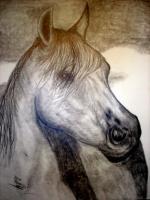 Wisper In The Wind - Pencil Drawings - By Donald Penwell, Drawing Drawing Artist