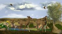 Our Deer Adventure - Digital Digital - By Todd A, Nature Digital Artist
