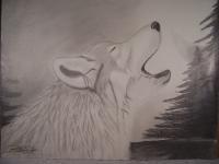 Night Cries - Graphite Pencils Drawings - By Bridget Davidson, Black And White Drawing Artist