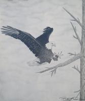Eagles Landing - Graphite Pencils Drawings - By Bridget Davidson, Black And White Drawing Artist