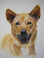 Dog - Watercolor Paintings - By Sarah Bent, Portrait Painting Artist