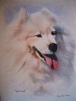 White Dog - Watercolor Paintings - By Sarah Bent, Portrait Painting Artist