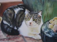 Wellys Cat - Watercolor Paintings - By Sarah Bent, Portrait Painting Artist