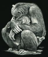 A Tender Moment - Scratchboard Other - By Karen Hull, Realism Other Artist