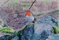Robin On A Rock - Watercolours On Watercolour Ca Paintings - By Karen Hull, Realism Painting Artist