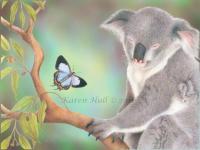A Kiss For Koala - Coloured Pencils On Drafting F Drawings - By Karen Hull, Illustrative Drawing Artist