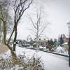 Winter In Hattem - Digital Photography - By Yvette Efteland, Realistic Photography Artist