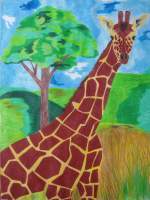 Realistic - Giraffe - Pencil