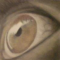 Pastel Eye - Pastel On Paper Drawings - By Sean King, Other Drawing Artist
