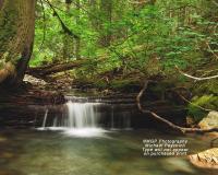 Nature - Happy Trails Falls - Photography Printed On Canvas