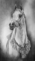 Native Costume - Graphite Drawings - By Maria Dangelo, Realistic Drawing Artist