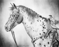 Thunder - Graphite Drawings - By Maria Dangelo, Realistic Drawing Artist